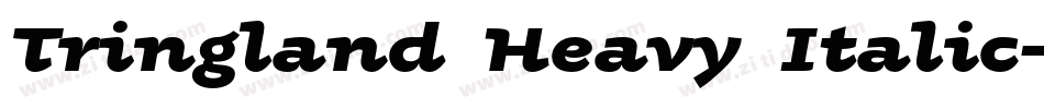 Tringland Heavy Italic字体转换